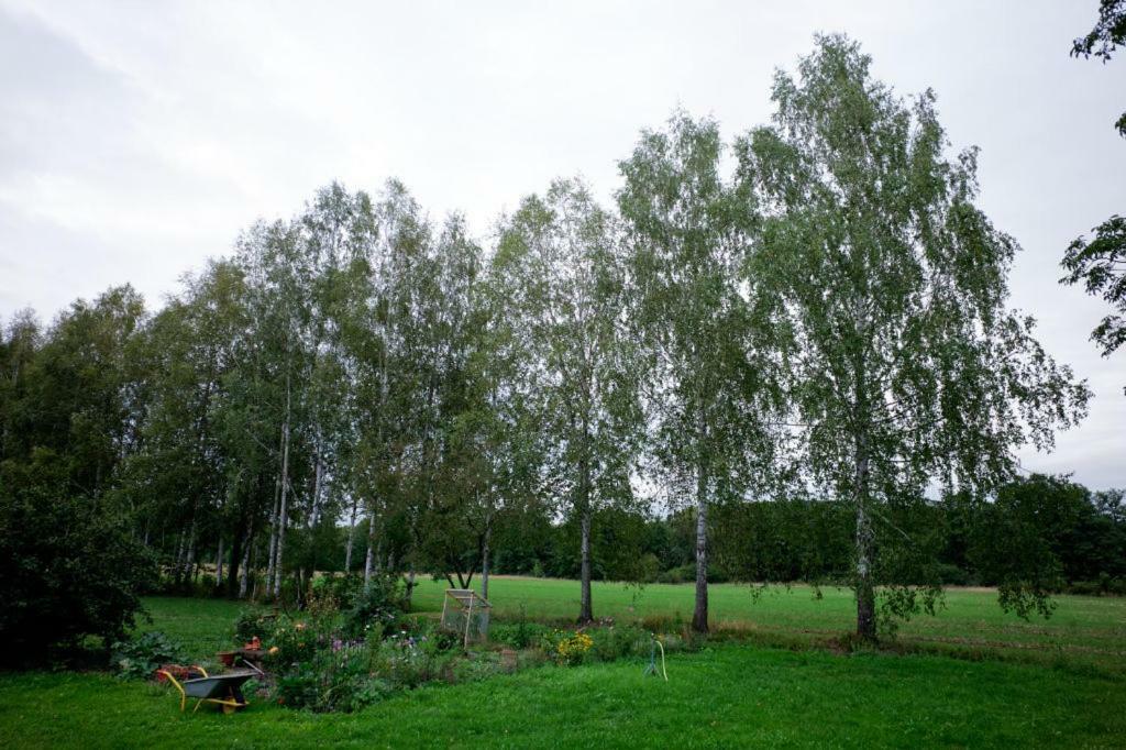 Obere Muehle - Scheunenwohnung Mitten Im Gruenen Baunach Exterior photo